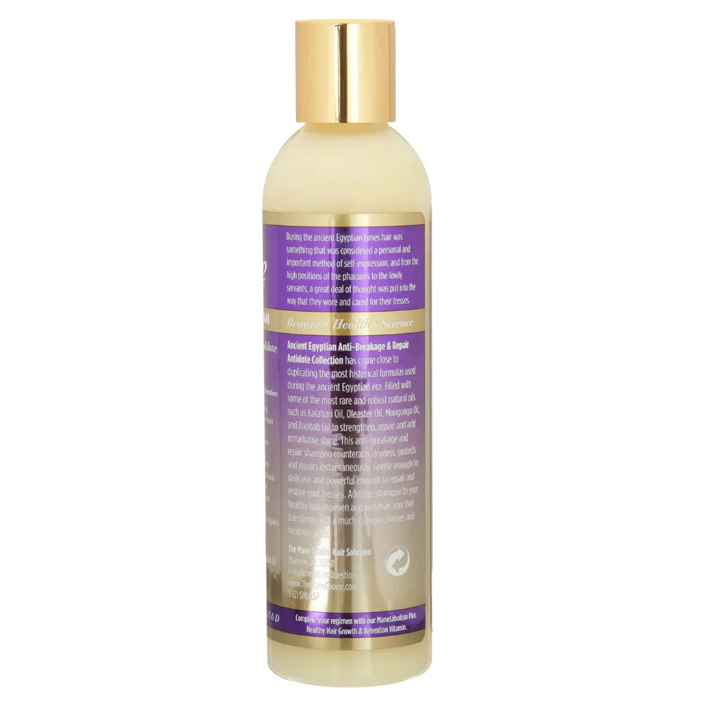 The Mane Choice Ancient Egyptian Anti-Breakage & Repair Antidote Shampoo 236ml — lateral